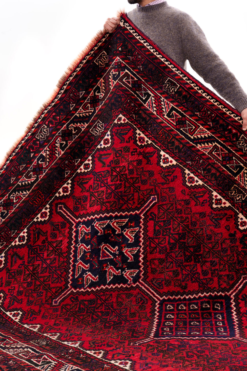 Red & Ivory Persian Shiraz Classic Rug — 268×193cm