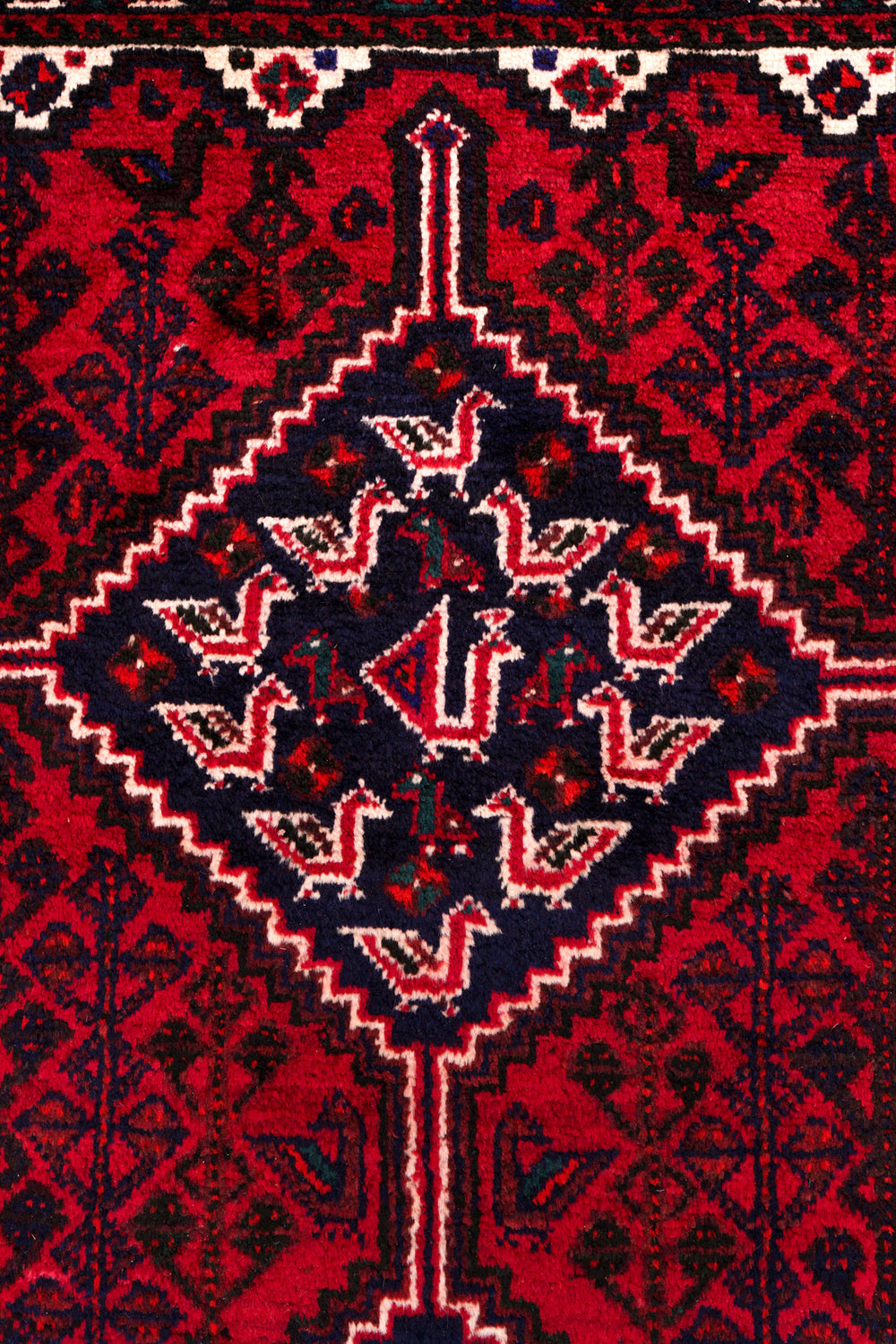 Red & Ivory Persian Shiraz Classic Rug — 268×193cm