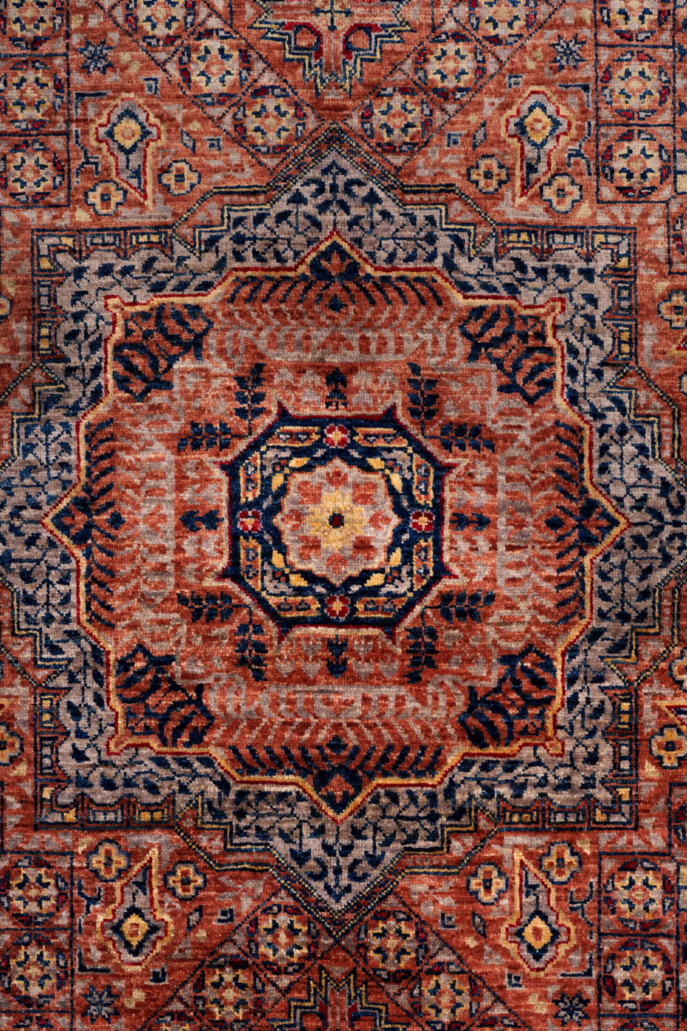Ivory & Red Mamlouk Oriental Rug